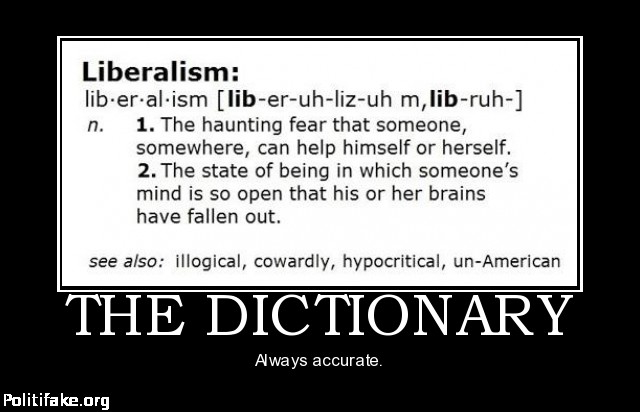 Jim Webb has figured out why Democrats are losing so badly. The-dictionary-liberal-moonbat-politics-1311767850